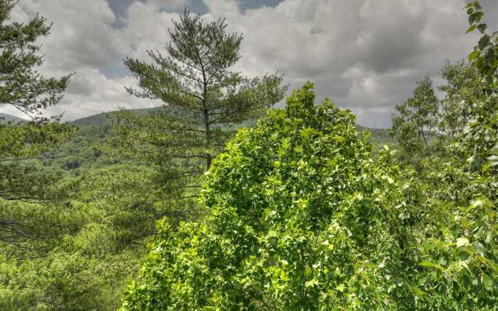 photo 1: 5 AC Sugar Creek Road, Blue Ridge GA 30513