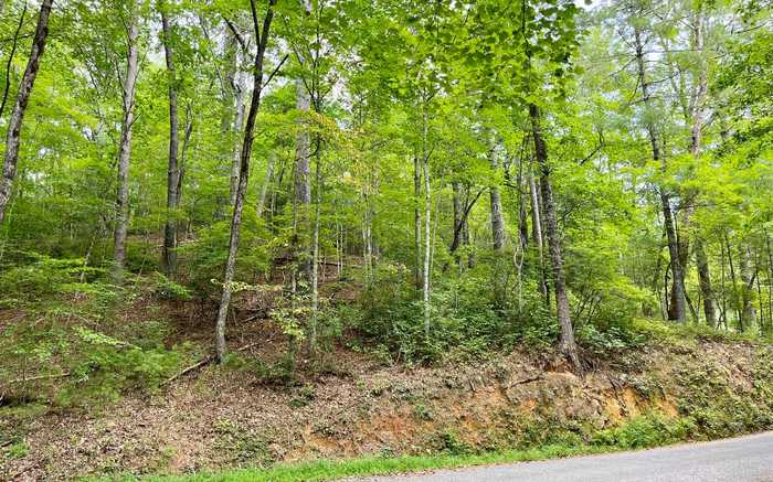 photo 2: 3.85 AC Old Aska Road S, Blue Ridge GA 30513