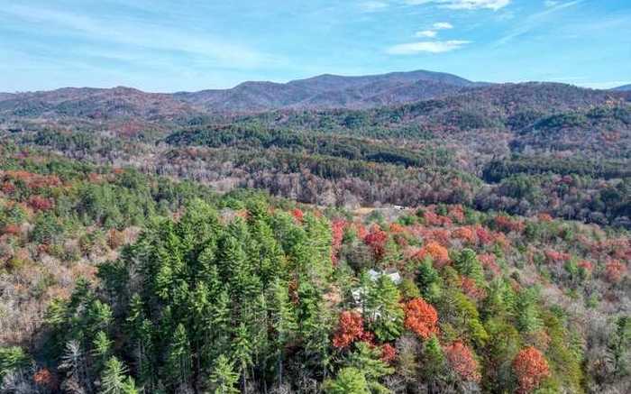 photo 64: 268 Cherry Log Summit Drive, Cherry Log GA 30522