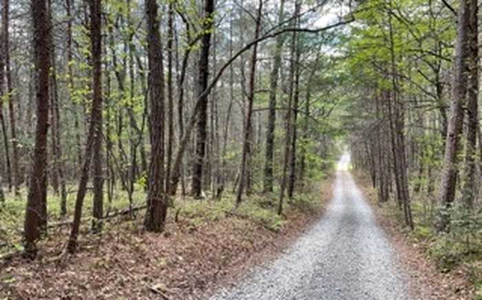 photo 1: Mount Carmel Road, Morganton GA 30560