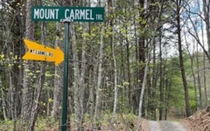 photo 4: Mount Carmel Road, Morganton GA 30560