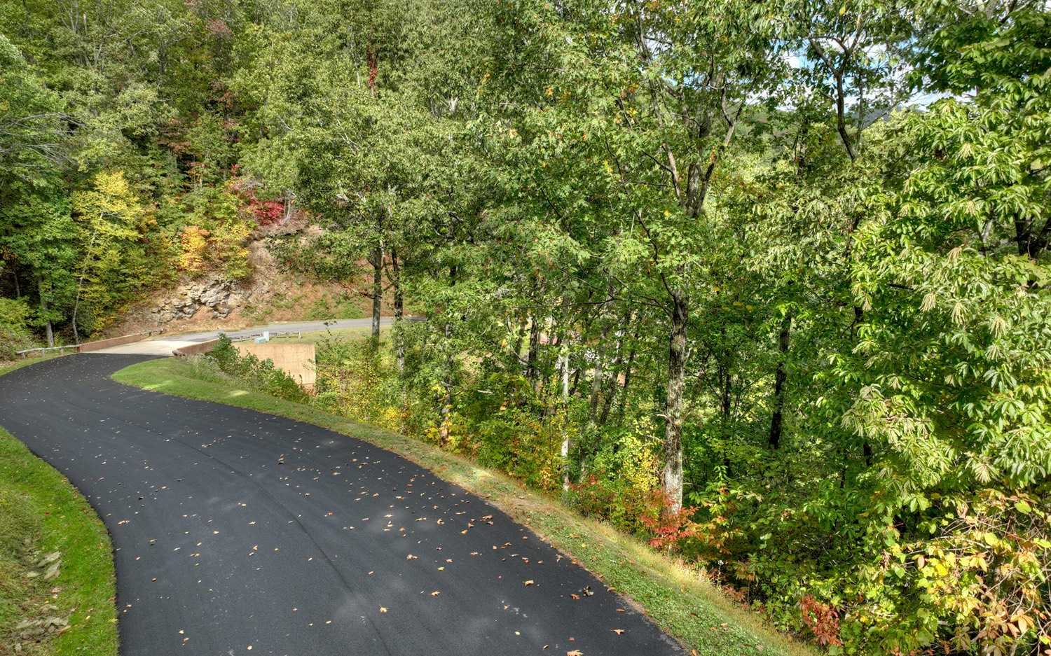 photo 3: LT 25 Utana Bluff Trails, Ellijay GA 30540