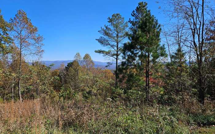 photo 2: lot 27 Mile High Drive, Blairsville GA 30512