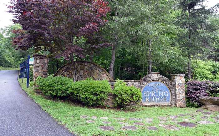 photo 1: LOT 1 Spring Ridge Drive, Morganton GA 30560