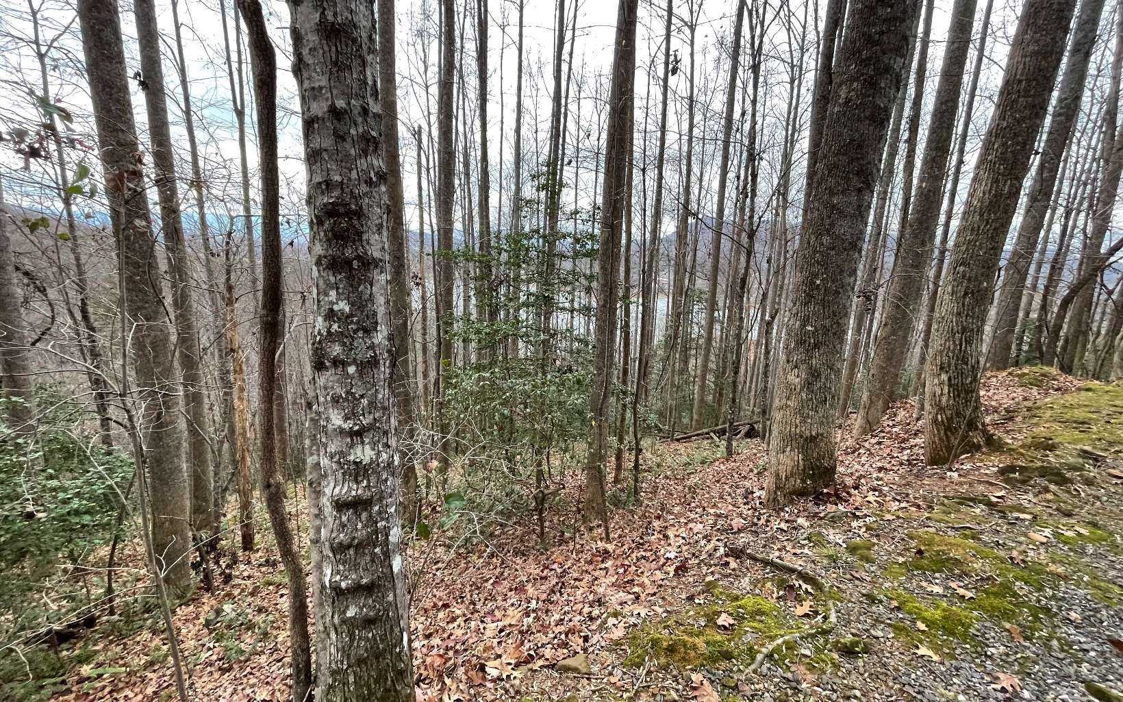 photo 1: LOT19 Twin Mountain Road, Hiawassee GA 30546