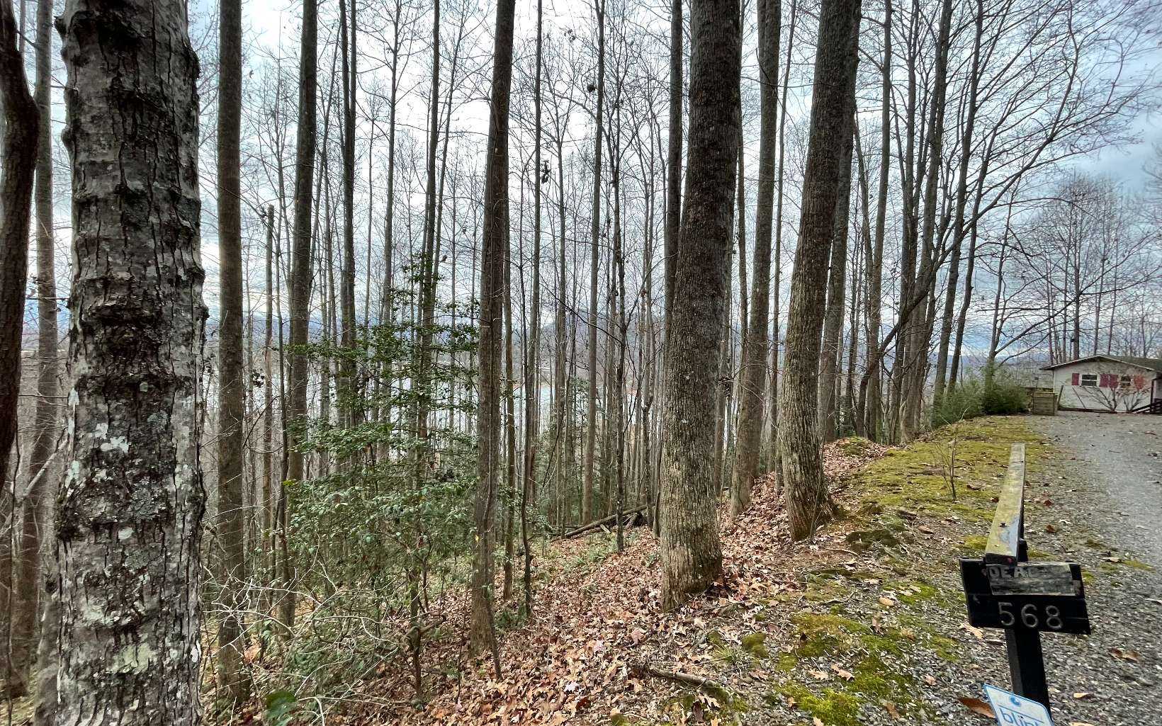 photo 3: LOT19 Twin Mountain Road, Hiawassee GA 30546