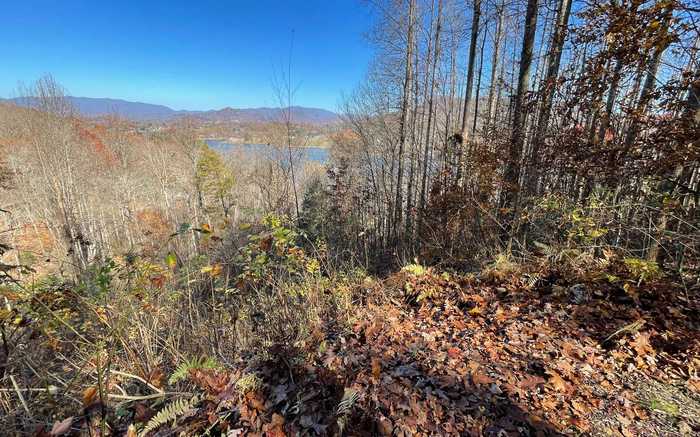 photo 33: LOT19 Twin Mountain Road, Hiawassee GA 30546