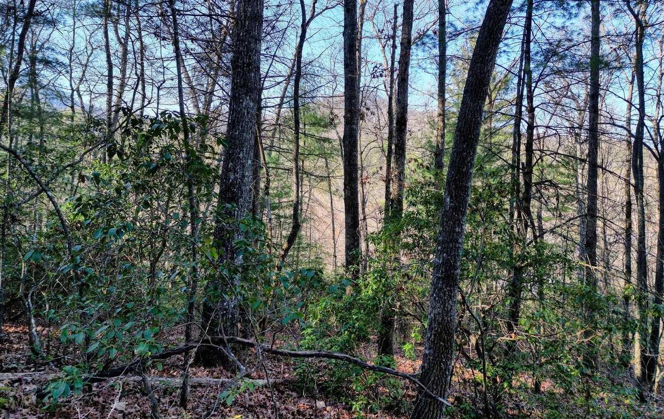 photo 2: LOT21 Fodder Creek Estates, Hiawassee GA 30546