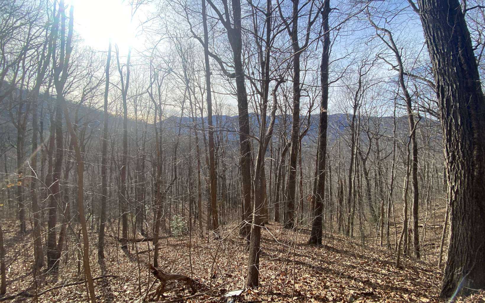 photo 1: TR. 1 Caesar Gap Road, Hiawassee GA 30546