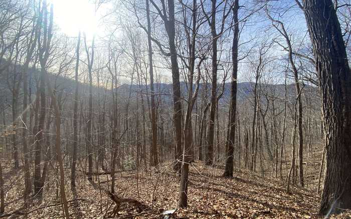 photo 1: TR. 1 Caesar Gap Road, Hiawassee GA 30546