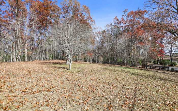 photo 18: 10 AC Nicholson Road, Blue Ridge GA 30513