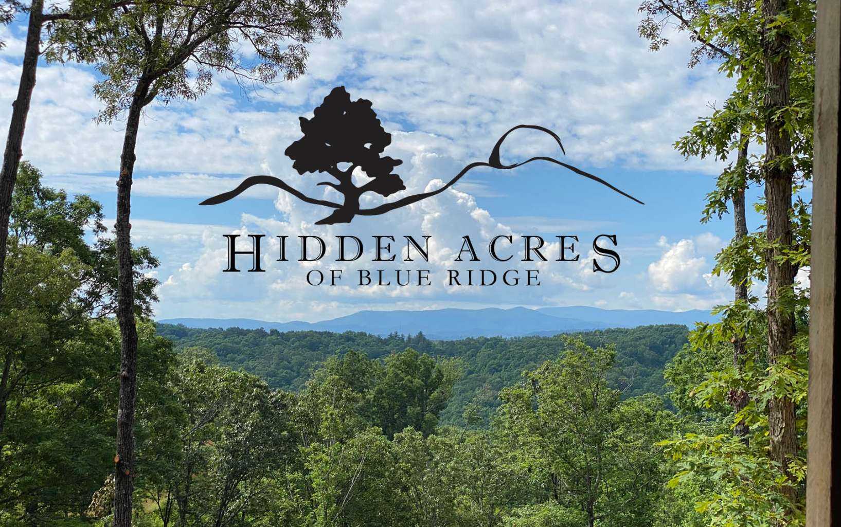 photo 3: LT 15 Hidden Acres, Blue Ridge GA 30513