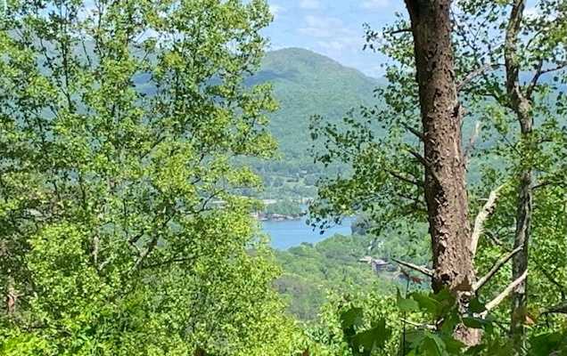 photo 1: LOT 8 Hidden Summit Road, Hiawassee GA 30546