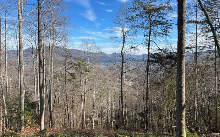 photo 10: LOT 8 Hidden Summit Road, Hiawassee GA 30546