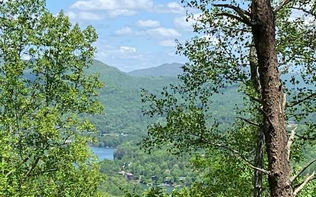 photo 2: LOT 8 Hidden Summit Road, Hiawassee GA 30546