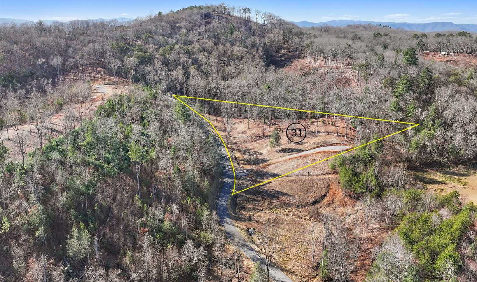 photo 2: LT 31 Hidden Acres, Blue Ridge GA 30513