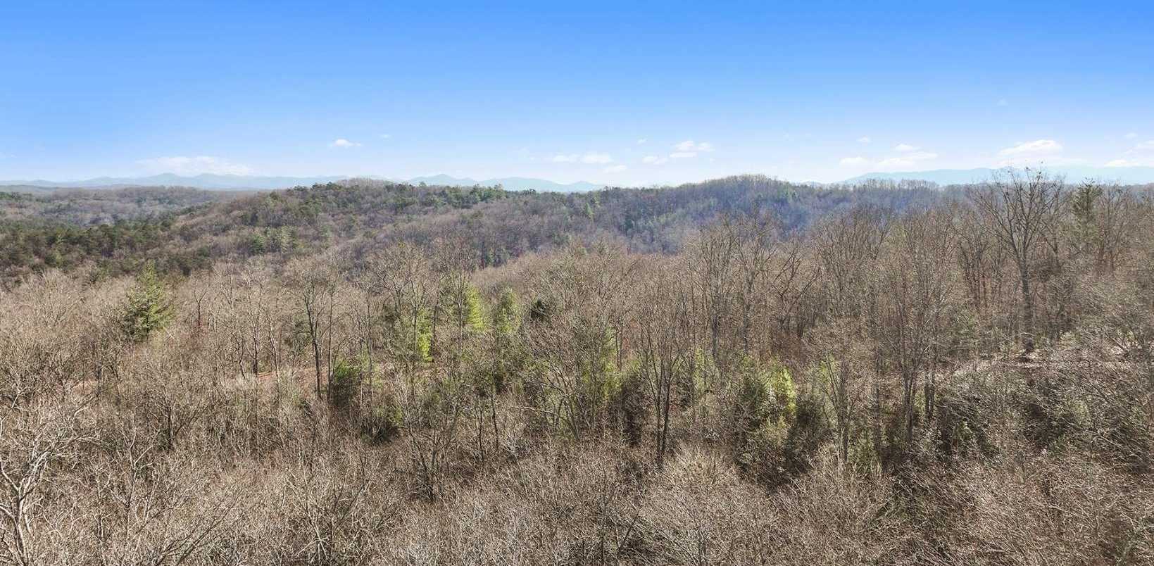 photo 1: LT 32 Hidden Acres, Blue Ridge GA 30513