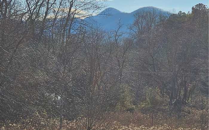 photo 12: 01 Bearmeat Road, Hiawassee GA 30546