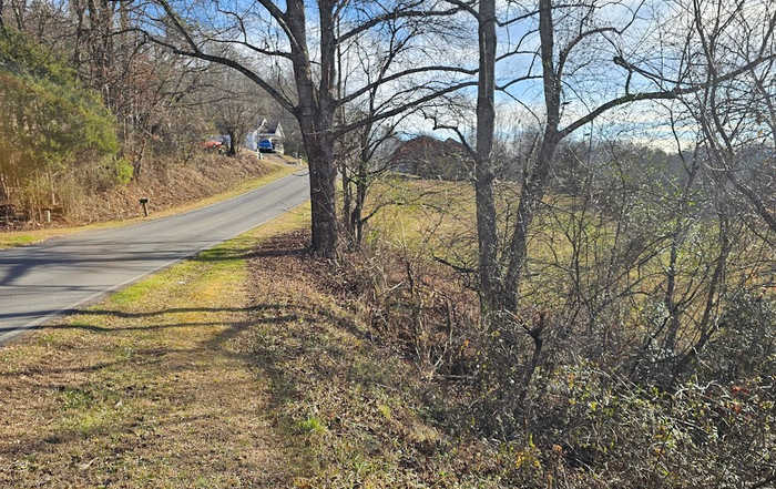 photo 2: 01 Bearmeat Road, Hiawassee GA 30546