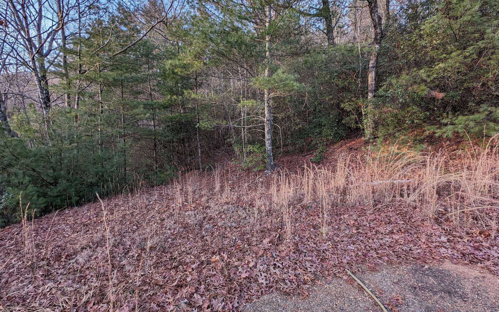 photo 3: LOT25 Whisper Woods Road, Hiawassee GA 30546