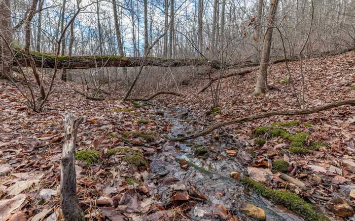 photo 2: LOT 7 Squirrel Hunting, Morganton GA 30560