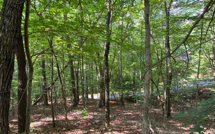 photo 1: LOT13 Majestic Way, Morganton GA 30560