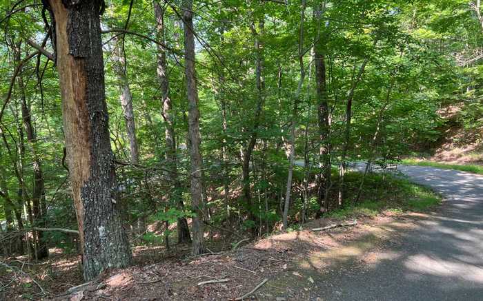 photo 2: LOT13 Majestic Way, Morganton GA 30560