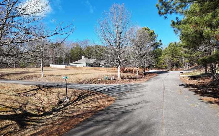 photo 2: 1472 Phillips Cove Drive, Hiawassee GA 30546