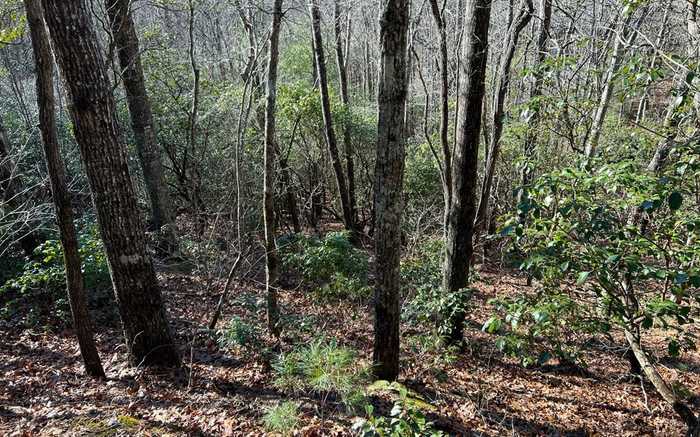 photo 21: Lot 33 Fodder Creek Mill Drive, Hiawassee GA 30546