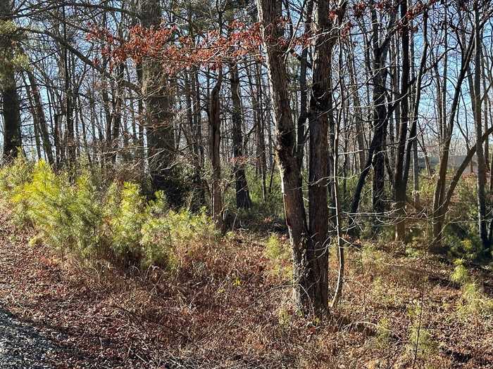 photo 5: Lot 14 Fairview Way, Morganton GA 30560