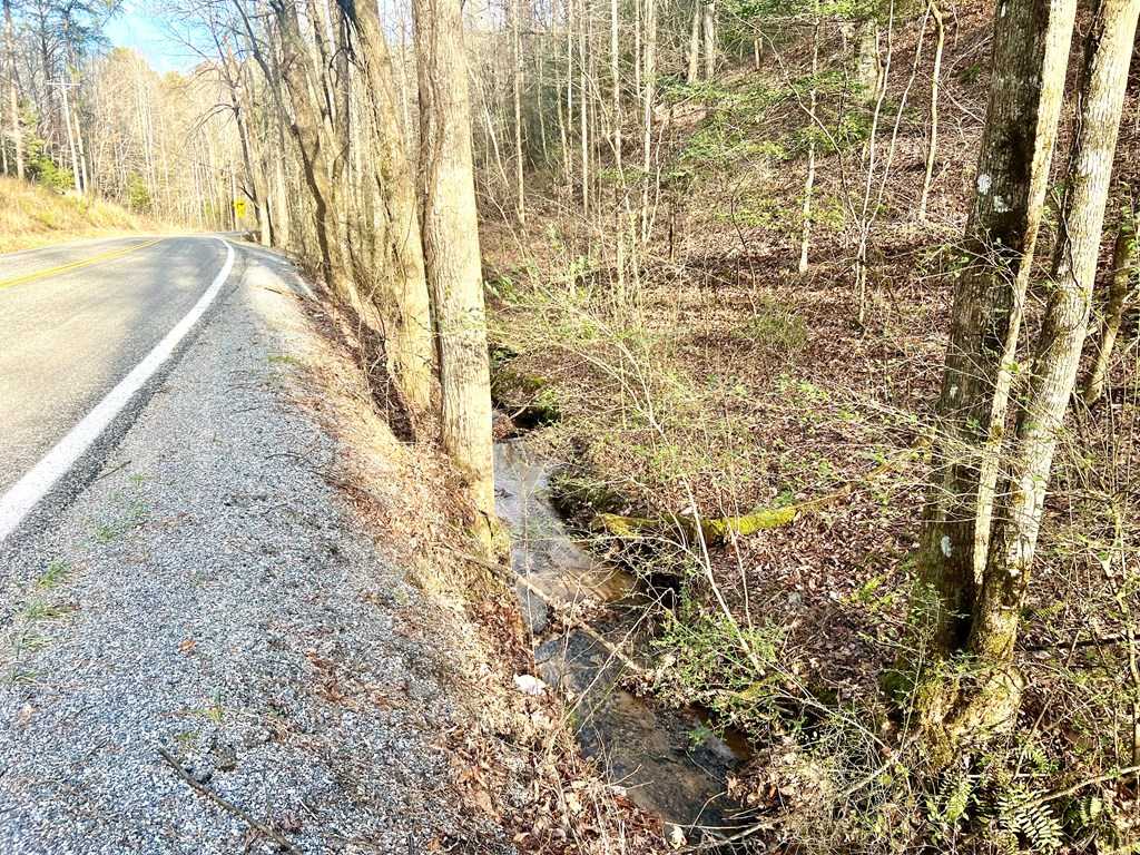 photo 2: 12 ACRE Pleasant Gap Road, Ellijay GA 30540