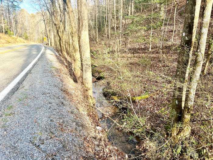 photo 2: 12 ACRE Pleasant Gap Road, Ellijay GA 30540