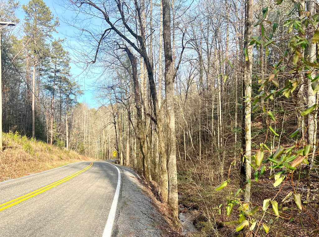 photo 3: 12 ACRE Pleasant Gap Road, Ellijay GA 30540