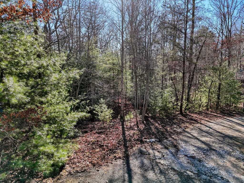 photo 2: Lot 4 Rocky Road, Blairsville GA 30512