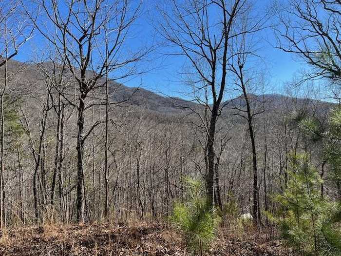 photo 1: Lot 10 Mountain Valley View, Hiawassee GA 30546