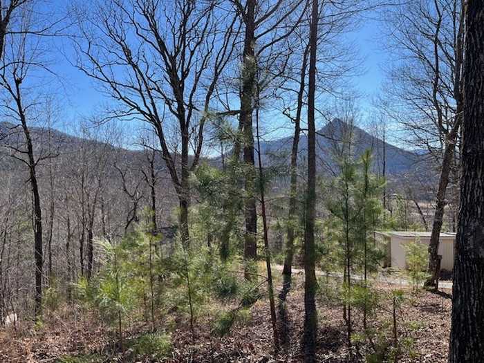 photo 2: Lot 10 Mountain Valley View, Hiawassee GA 30546