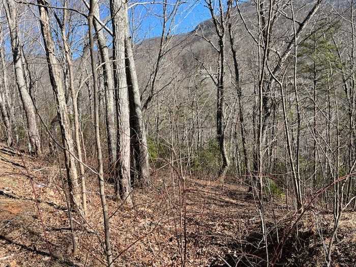 photo 8: Lot 10 Mountain Valley View, Hiawassee GA 30546