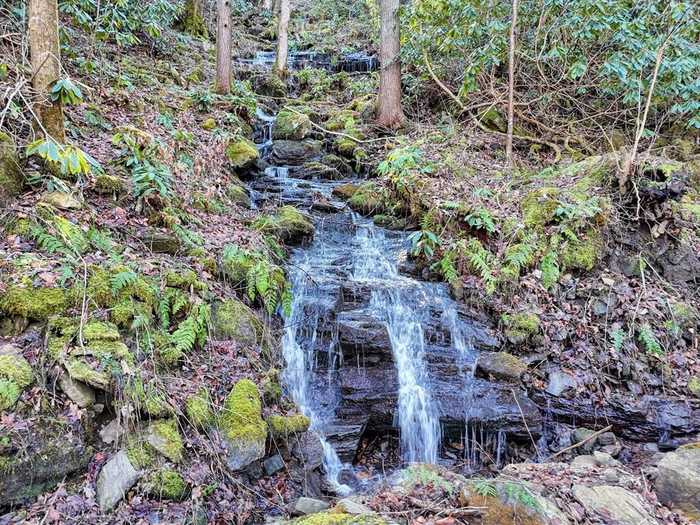 photo 1: 38+ Acre Shoals Trail, Hiawassee GA 30549