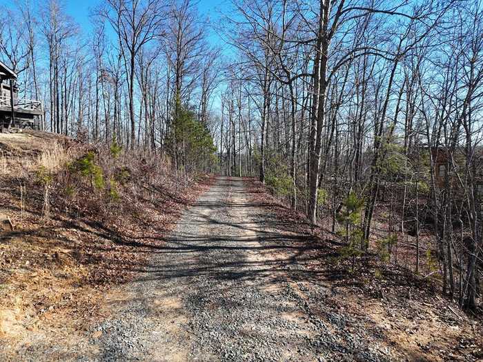 photo 2: LT 29,28 Left Turn Lane, Blue Ridge GA 30513