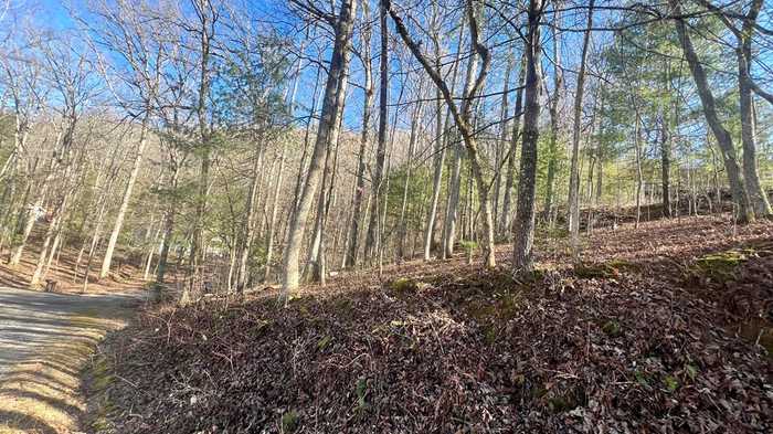 photo 4: Lot 16 Emory Circle, Blairsville GA 30512