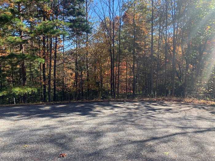 photo 2: Lot 22 Snowbird Lane, Blairsville GA 30152