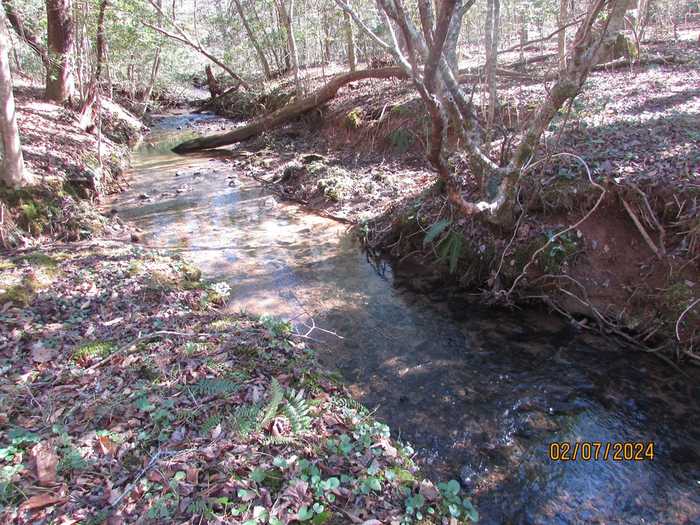 photo 2: 876 Twin Mountain Road  Tract B, Hiawassee GA 30546