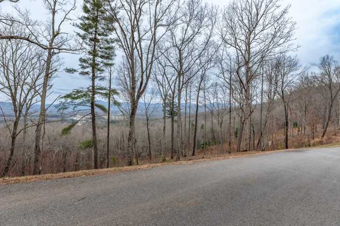 photo 2: Lot 133 Blackburn Way, Blairsville GA 30512