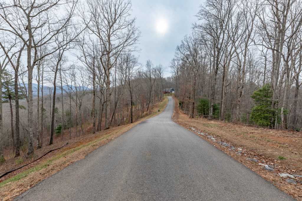 photo 3: Lot 133 Blackburn Way, Blairsville GA 30512