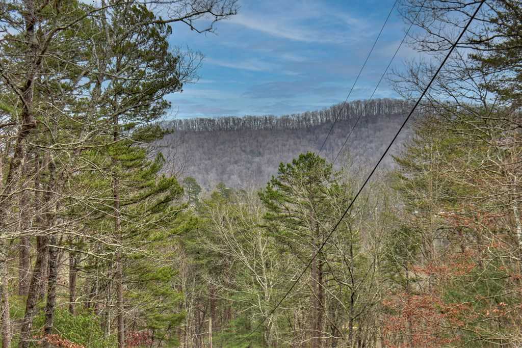 photo 3: 2.56 ac Trackside Lane, Blue Ridge GA 30513