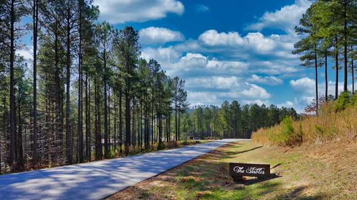 photo 19: Stables Loop, Blairsville GA 30512