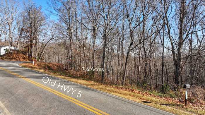 photo 2: 1 Grace Drive, Blue Ridge GA 30153