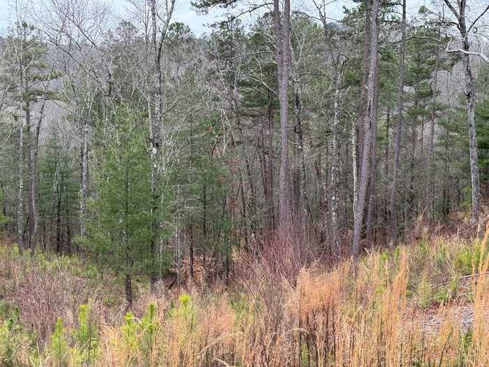 photo 2: Lot 137 Sundown Trail, Ellijay GA 30541