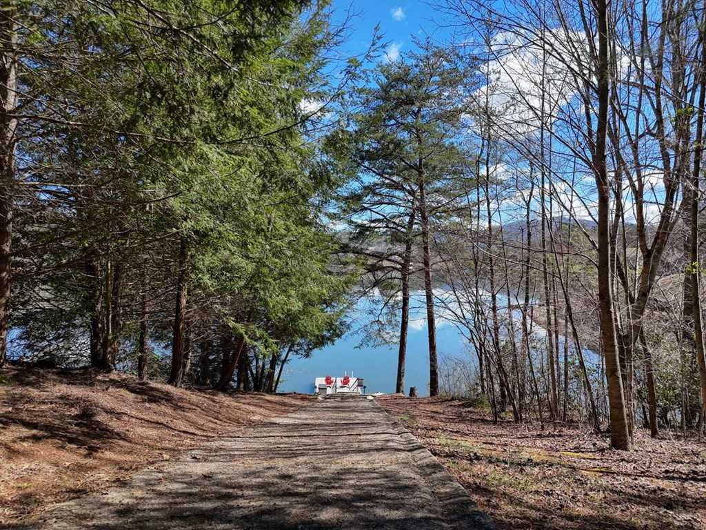 photo 2: Lot 3 Sunnyside Shores Drive, Hiawassee GA 30546