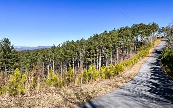 photo 2: LOT73 Ridge Peak View, Blairsville GA 30512